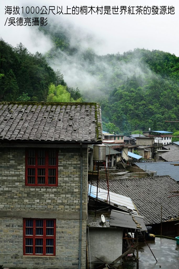 武夷山星村鎮桐木村00006 - 報新聞 Mega News