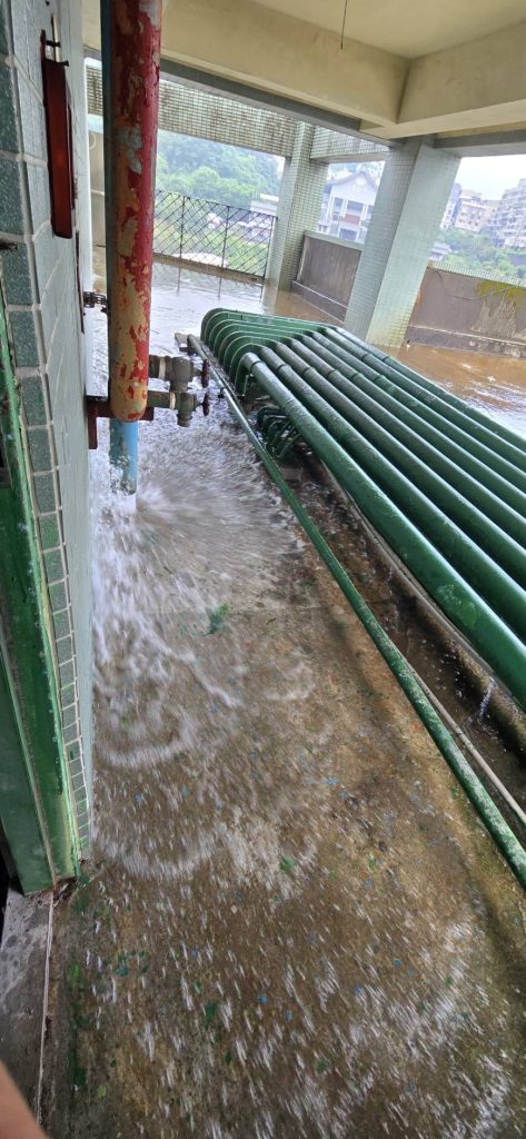 S__473120858_0 - 報新聞 Mega News