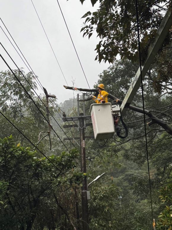 《圖說》北南區處同仁執行樹木修剪作業，為降低線路停電事故。〈台電北南區處提供〉