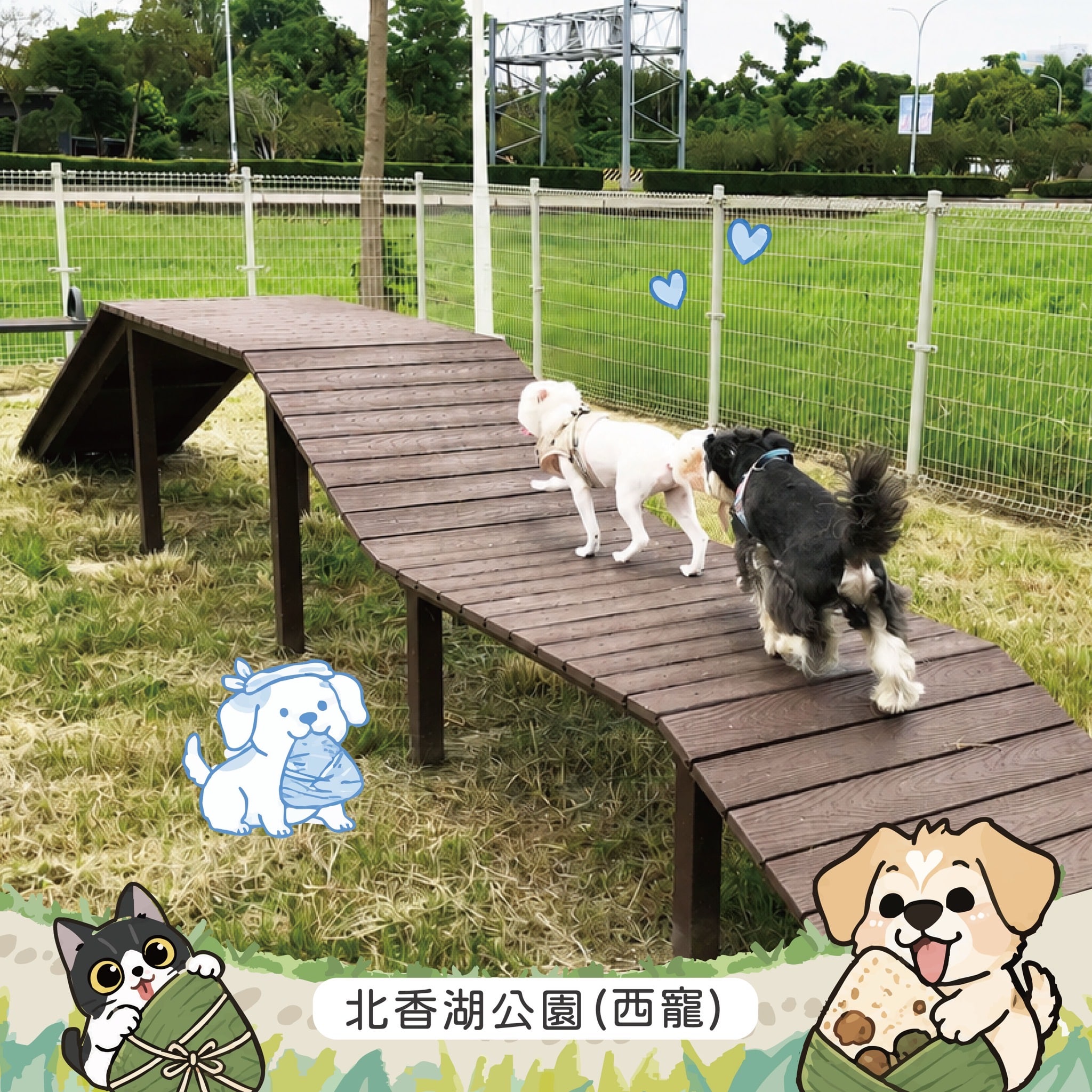 News
