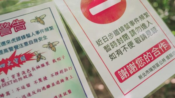 News