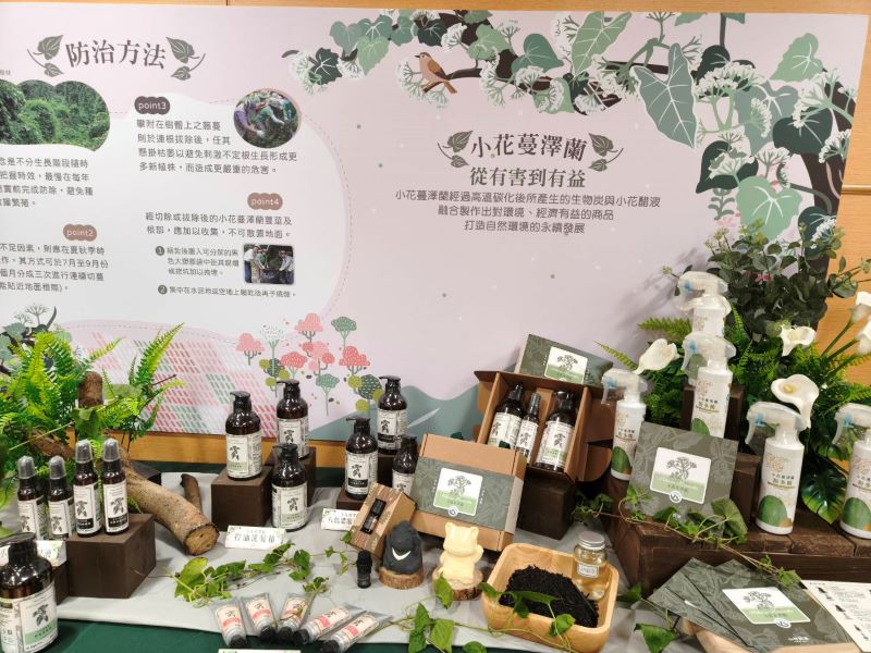 《圖說》115年度新北市小花蔓澤蘭防治月記者會現場展示的小花蔓澤蘭從有害到有益的產品。〈記者葉柏成攝〉